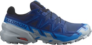 Salomon Speedcross 6 Gore-Tex Grisaille/Carbon/Tea