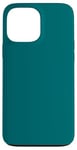 Coque pour iPhone 13 Pro Max Coque blu pétrole