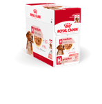 SHN Medium Adult våtfôr for hunder 140 g x 10 stk - Hund - Hundefôr - Våtfôr - Royal Canin