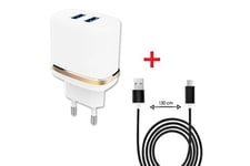 PH26 Chargeur pour téléphone mobile Pack chargeur + câble micro usb apple iphone 8+ ultra-puissant et rapide 2x (5v / 2,1a) 1,3 mètre - noir