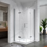 ATÉA Cabine de douche H 180 cm porte pliante pivotante en verre 6 mm transparent 70 x 80 cm