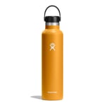 Hydro Flask Standard Mouth Bottle, 710 ml (24oz), Fossil