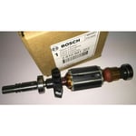 2610941201 Dremel induit pour 200 - 275 - 285 - 300 - 395