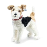 Steiff 031717 Foxy Fox Terrier Dog White Tan and Black Curly Mohair