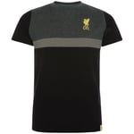 Liverpool FC - Panel T Shirt - To fit 22 - 24 inch chest - New Junio - U300z