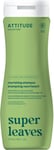 ATTITUDE Nourishing Hair Shampoo, EWG Verified, For Dry and Damaged Hair, Vegan