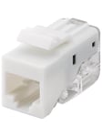 Keystone module RJ45 CAT 5e UTP 100 MHz