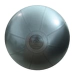 Fitness Mad 500Kg Studio Pro Swiss Ball 65cm