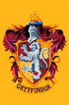 empireposter Poster de cinéma Harry Potter Lion de Gryffondor - Dimensions : 61 x 91,5 cm