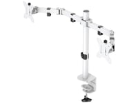 White Line Wa86 Dual-Monitor Desk Arm, 13-32" Monitors