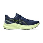 Asics GT-2000 12 GTX Herr