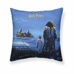 Kuddfodral Harry Potter De vises sten Flerfärgad 50 x 50 cm