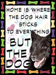 Belgian Sheep Dog Fridge Magnet 100mm x 75mm "HOME IS WHERE THE DOG HAIR STICKS TO EVERYTHING BUT THE DOG" Novelty Gift