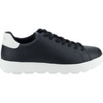 Baskets basses Geox  Sneaker