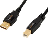 Amazon Basics USB-A to USB-B 2.0 Cable for Printer or External Hard Drive, Gold