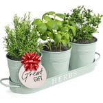 Barnyard Designs Herb Pot Planter Set with Tray for Indoor Garden or Outdoor Use, Soft Mint Metal Succulent Potted Planters, (Set of 3, 11 x 10cm Planters on 32 x 10cm Tray)