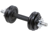 Dumbbell Eb Fit Cast Iron 1 X 7 Kg