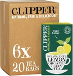 Clipper Organic Lemon Green Tea Bags | 120 Teabags (6x Boxes of 20) | Bulk Buy for Office, Home & Catering | Pure, Fair Trade Green Tea with Lemon | Natural Unbleached Plant-Based & Biodegradable