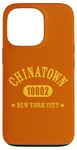 iPhone 13 Pro CHINATOWN 10002 NEW YORK CITY / NYC Athletic Design Case