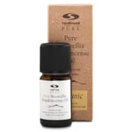 Healthwell PURE Boswellia Frankincense ØKO, 10 ml