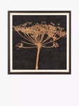 John Lewis Charlotte Oakley 'Copper Allium' Embellished Framed Print & Mount, 36 x 36cm, Dark Grey/Metallic