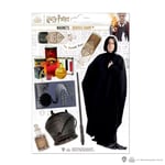 Harry Potter - Severus Rogue - Planche De 8 Magnets En Mousse