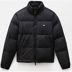 Veste Dickies  ALATNA - DK0A4XP3-BLK BLACK