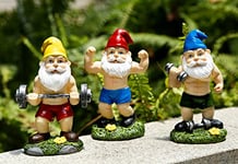 Mrsivrop Lot de 3 Statues de Nains de Jardin Amusants de 15,7 cm pour extérieur, décoration de Gnomes Musculaires, haltères et haltères pour Cour, pelouse, terrasse, intérieur