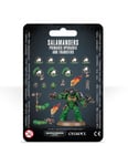 SALAMANDERS PRIMARIS UPGRADES & TRANSFERS