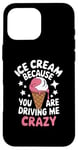 iPhone 16 Pro Max Ice Cream Because You Are Driving Me Crazy Case