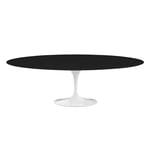 Knoll - Saarinen Oval Table - Matbord, 244 x 137 cm, Vitt underrede, skiva i Svart laminat - Spisebord - Eero Saarinen - Svart - Laminat/Metall