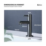 Robinet Eau Froide Gris Robinet Salle de Bain Noir pour Lave-Mains Robinetterie Corp en Laiton pour Lavabo Design Moderne.