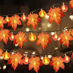 Lönnlöv Pumpa Ljus, 3M 20 LED Höst Dekoration Ljus Höstlöv Slinga för Thanksgiving, Halloween, Jul Dekor