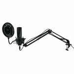 PC Gaming Microphone Recording Streaming Audio Mic Podcast Studio Vlog Desk Arm