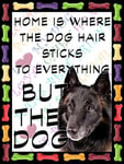 Belgian Sheep Dog Fridge Magnet 100mm x 75mm "HOME IS WHERE THE DOG HAIR STICKS TO EVERYTHING BUT THE DOG" Novelty Gift