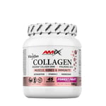 Amix - Viscofan Collagen Drink, Forest Fruit- 300 g