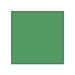 Rosco Butterfly 12x12 Chroma Key Green