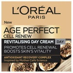 3 x L'Oreal Age Perfect Cell Renew Revitalising Day Cream 50ml