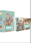 Yétili-Coffret 4 DVD