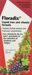 Floradix Liquid Iron and Vitamin Formula 250ml x 3