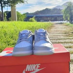 Baskets basses Nike  Nike Dunk Low Grey Fog