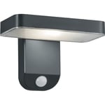 Trio Lighting Esquel solcelle vegglampe