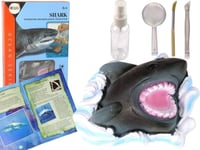 Leantoys Pedagogisk Grävmaskin Ammonite Shark