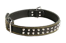 CROCI Collier pour Chien Enjoy Dop à Clous Noir 56 X 2,5 cm