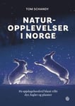 Naturopplevelser i Norge