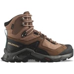 Baskets Salomon  Quest Element Gtx W