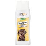 JollyPaw Aloe Vera Schampo 250ml