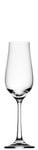 Praline Prosecco Clear Cocktail Wine Spirits Glasses 5.75oz (16cl) Pack Of 4