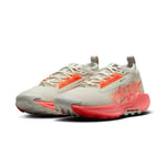 Nike Løpesko Pegasus Trail 5 Gore-Tex - Sølv/Oransje/Wild Mango Dame, størrelse 42½