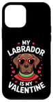 iPhone 12 mini Chocolate Labrador My Valentines Hearts Day Dog Mom Dad Case